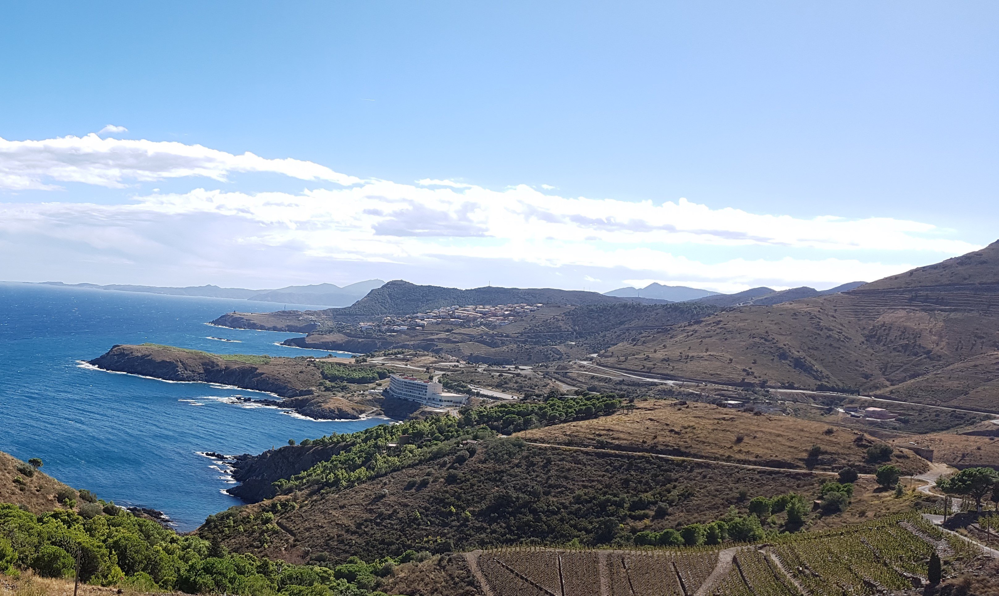 Vignoble de banyuls Vignoble de banyuls